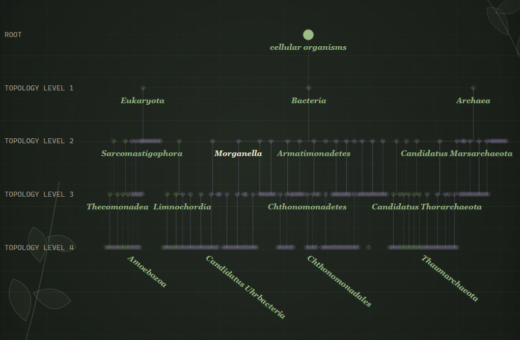Branching phylogenetic tree interface illustration